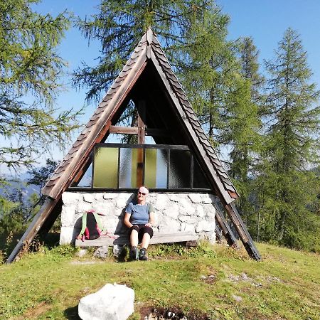 Ferienwohnung Schmaranzer Gosau Extérieur photo