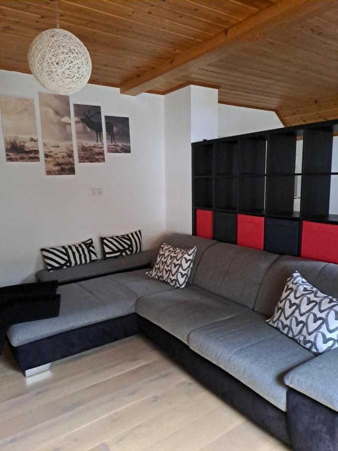 Ferienwohnung Schmaranzer Gosau Extérieur photo