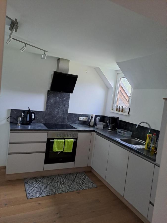 Ferienwohnung Schmaranzer Gosau Extérieur photo